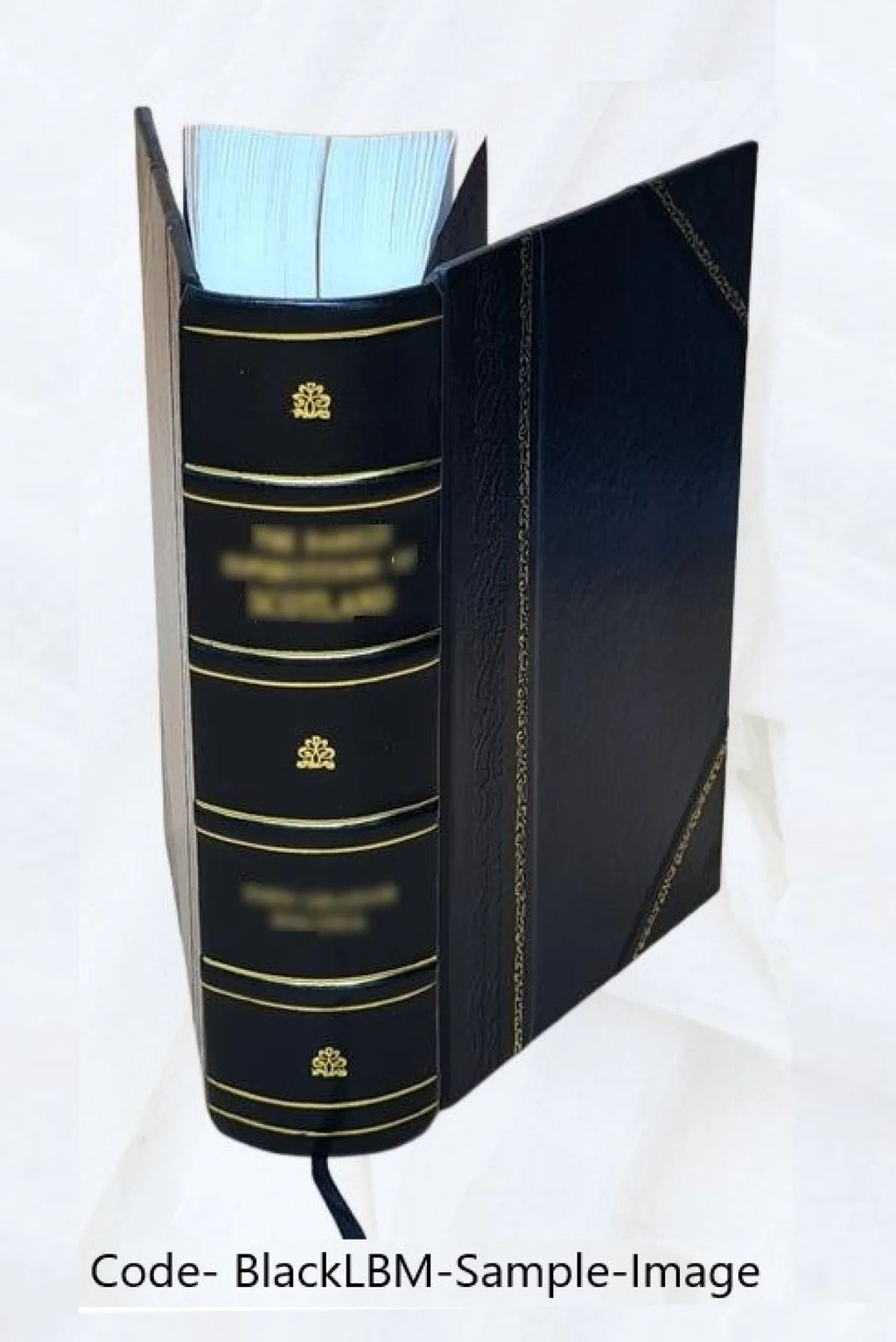 Iosephi Rocafull ... Totius moralis theologiae praxis : opus valde necessarium futuris parochis aliis[q]ue confessarijs pro eorum instructione ... : Tomus primus. 1648 [Leather Bou