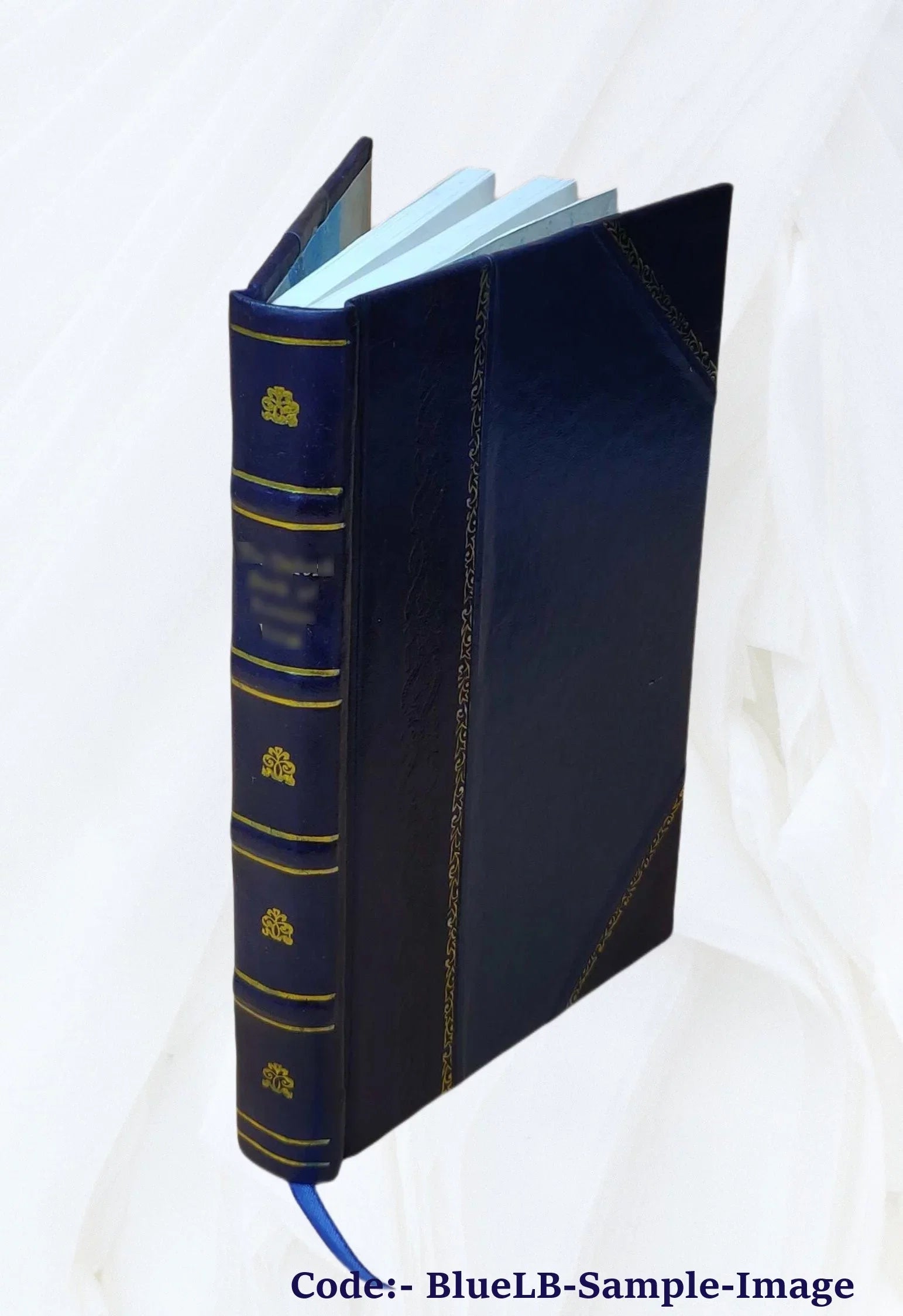 Amadas et Ydoine : poème d'aventures ([Reprod. en fac-sim.]) / publ. pour la 1re fois et précédé d'une introd. par C. Hippeau 1863 [Leather Bound]
