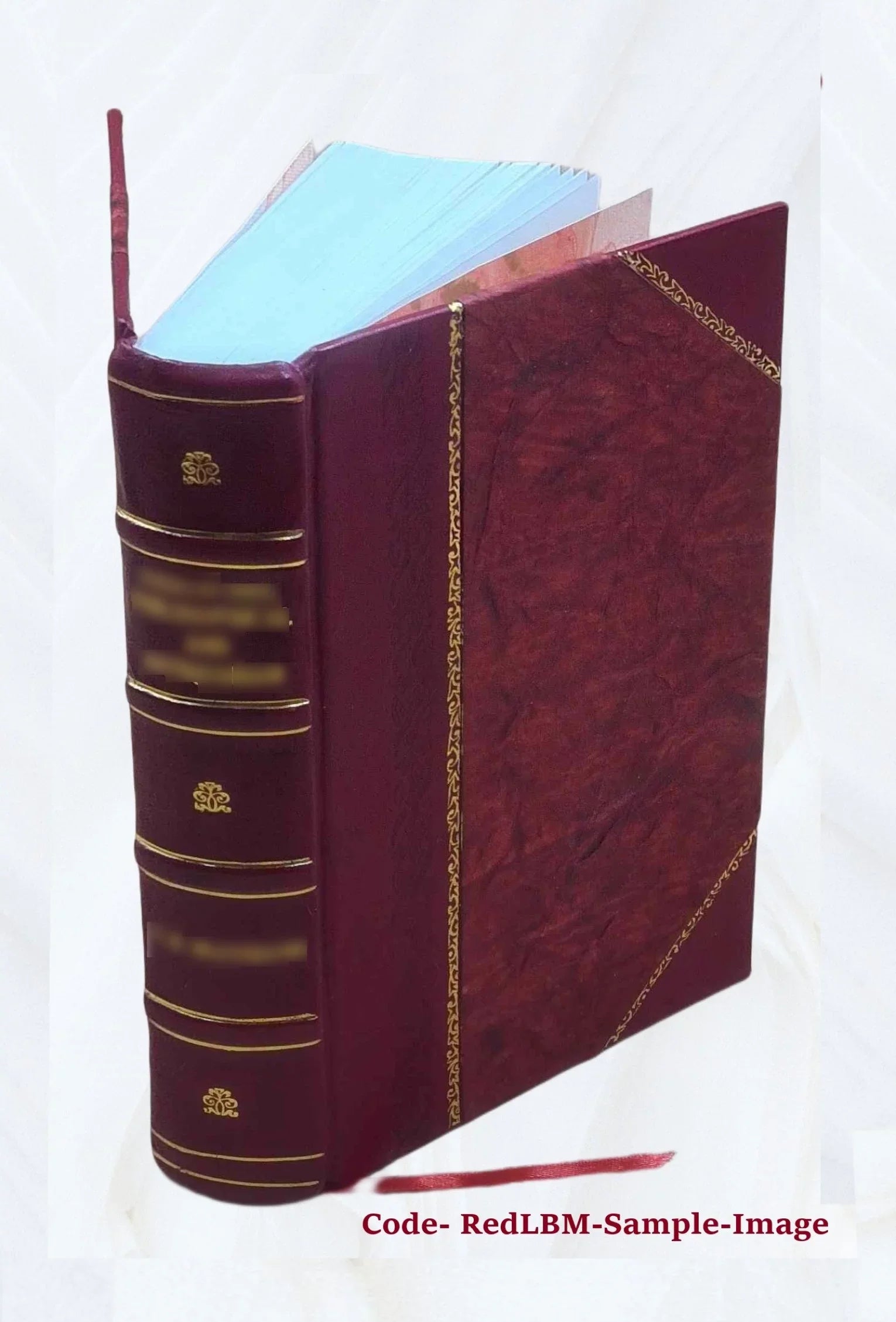 A system of the law of marine insurances; with three chapters on bottomry; on insurances on lives; on insurances against fire. By Sir James Allan Park, knt Volume v. 1 1842 [Leather Bound]