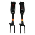 2010-2011 Mercedes-Benz R300 CDI Front Air Suspension Conversion Kit (MR1FB)